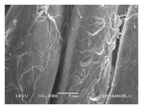 Details are in the caption following the image