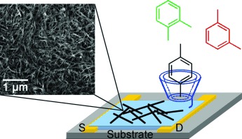 Molecular Recognition for High Selectivity in Carbon Nanotube/Polythiophene Chemiresistors