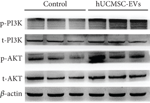Details are in the caption following the image
