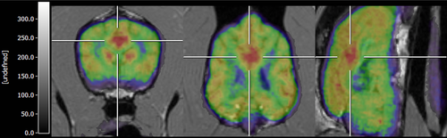 Details are in the caption following the image Details are in the caption following the image