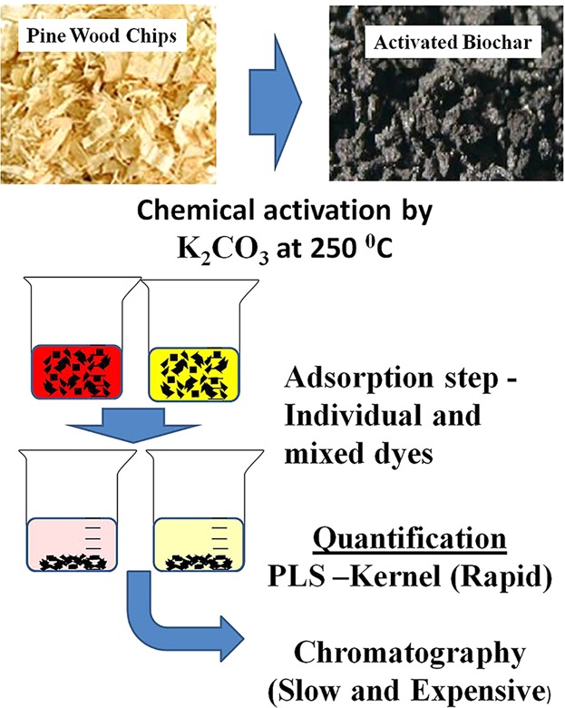 Application of Partial Least Squares-Kernel Calibration in Competitive Adsorption Studies Using an Effective Chemically Activated Biochar