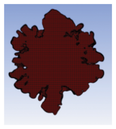 Details are in the caption following the image