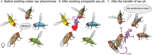 Details are in the caption following the image Details are in the caption following the image