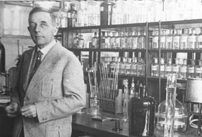 Der Warburg-Effekt im Duell von Tumorzellen und Immunsystem