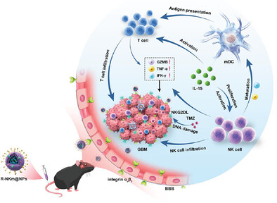 A Trojan-Horse-Like Biomimetic Nano-NK to Elicit an Immunostimulatory Tumor Microenvironment for Enhanced GBM Chemo-Immunotherapy
