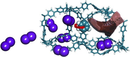 Molecular Rotors in Porous Organic Frameworks