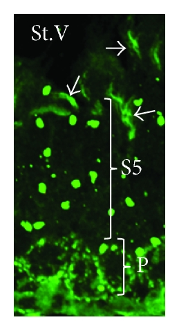 Details are in the caption following the image