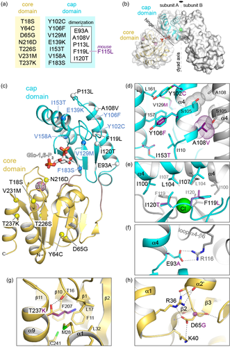 Details are in the caption following the image Details are in the caption following the image