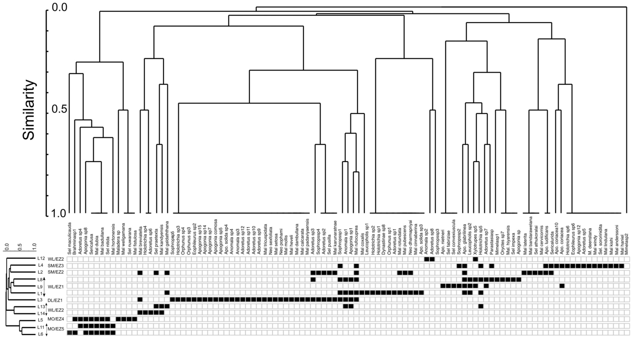 Local stochastics and ecoclimatic situation shape phytophagous chafer assemblage composition