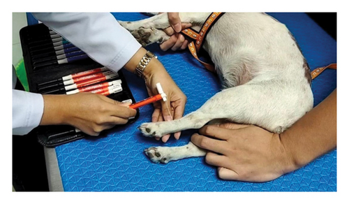 Details are in the caption following the image Details are in the caption following the image