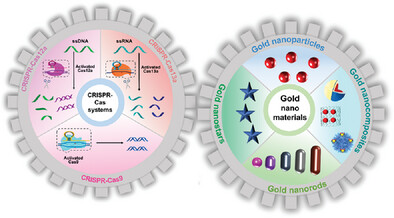 Gold Nanomaterials-Implemented CRISPR-Cas Systems for Biosensing