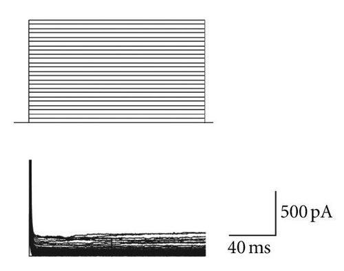 Details are in the caption following the image