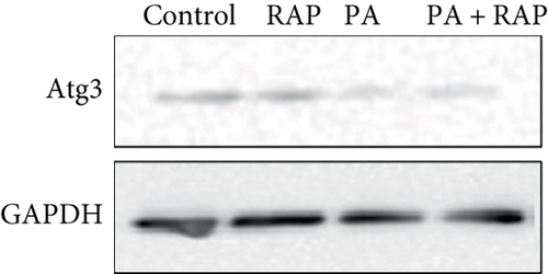 Details are in the caption following the image