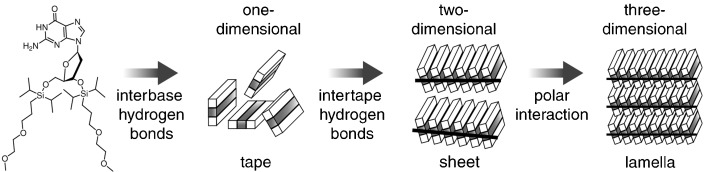 Design and Fabrication of a Flexible and Self-Supporting Supramolecular Film by Hierarchical Control of the Interaction between Hydrogen-Bonded Sheet Assemblies