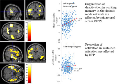 Suppression of Deactivation of Working Memory and Promotion of Activation of Sustained Attention in the Default Mode Network Are Affected by Schizotypy in a Large Sample of Nonclinical Subjects