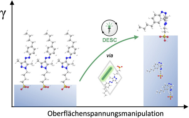Oberflächenspannungsmanipulation mit sichtbarem Licht durch sensibilisierte Disäquilibrierung von photoschaltbaren Amphiphilen