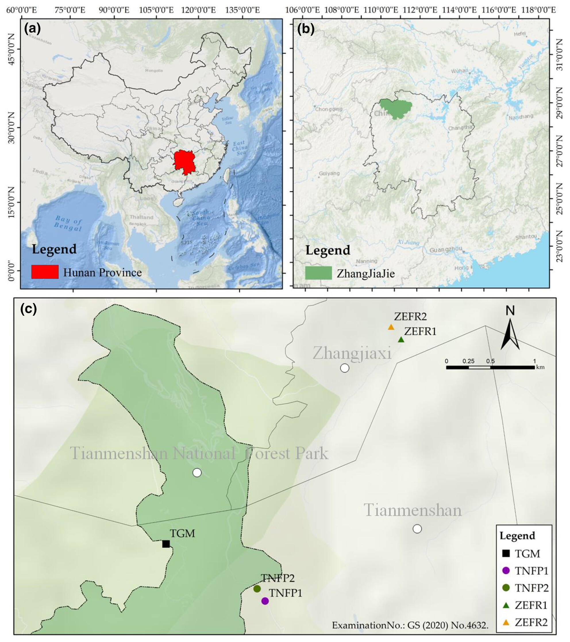 Endangered status and threatened population ecological factors in Salvia daiguii, an endemic species from Hunan, China