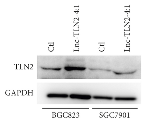 Details are in the caption following the image