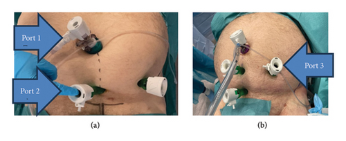 Details are in the caption following the image Details are in the caption following the image