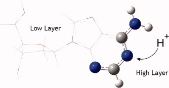 Proton affinities of deoxyribonucleosides via the ONIOM-ccCA methodology
