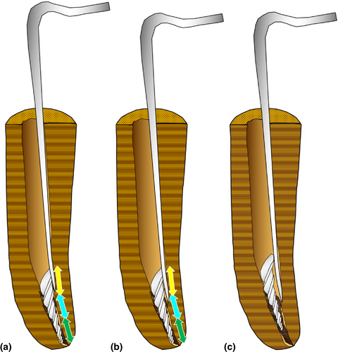 Details are in the caption following the image Details are in the caption following the image