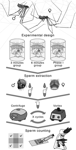 Details are in the caption following the image