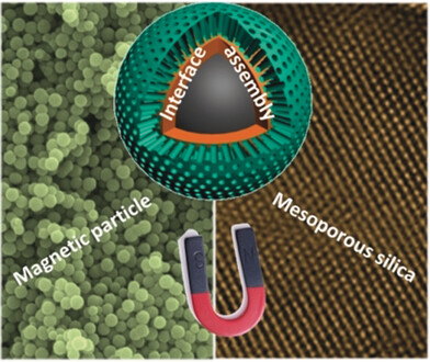 Advances in the Interfacial Assembly of Mesoporous Silica on Magnetite Particles