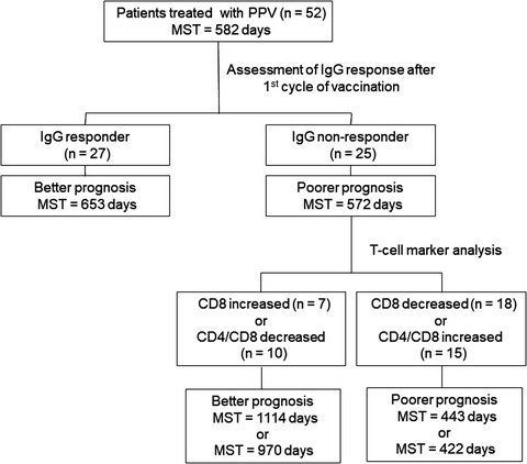 CD4/CD8 ratio is a prognostic factor in IgG nonresponders among peptide vaccine-treated ovarian cancer patients
