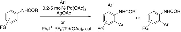 Anilide ortho-Arylation by Using C<span class='icomoon'></span>H Activation Methodology