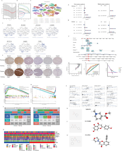 A multi-omics-based investigation of the immunological and prognostic impact of necroptosis-related genes in patients with hepatocellular carcinoma
