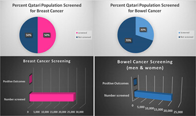Pathway to excellence in cancer care: learning from Qatar's experience