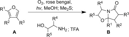 A Versatile Synthesis of Meyers’ Bicyclic Lactams from Furans: Singlet-Oxygen-Initiated Reaction Cascade