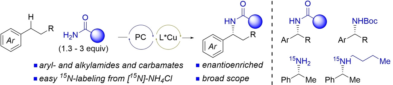 Enantioselective Intermolecular Radical Amidation and Amination of Benzylic C−H Bonds via Dual Copper and Photocatalysis