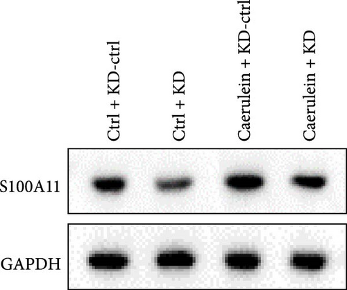 Details are in the caption following the image