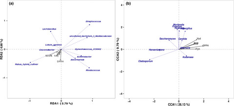Diversity of the microbial community and antioxidant activity during fermentation of red raspberry Enzymes