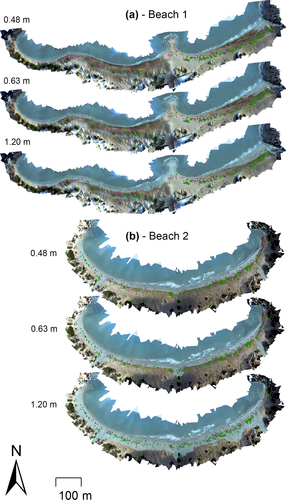 Details are in the caption following the image Details are in the caption following the image