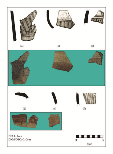 Details are in the caption following the image Details are in the caption following the image