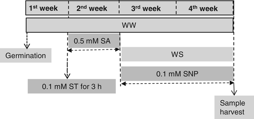 Details are in the caption following the image