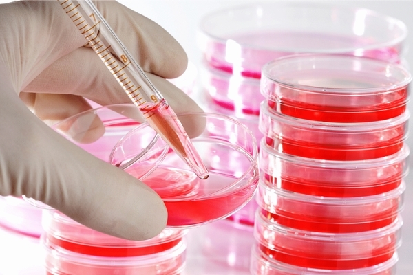 Analysis of TP53 Mutation Status in Human Cancer Cell Lines: A Reassessment