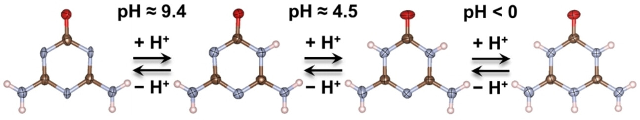 On Tautomerism and Amphoterism: An In-Depth Structural and Physicochemical Characterization of Ammeline and Some of Its Salts