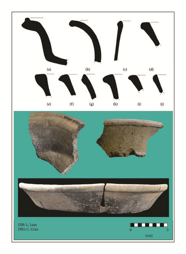Details are in the caption following the image Details are in the caption following the image