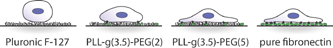 mabi201400246-gra-0001