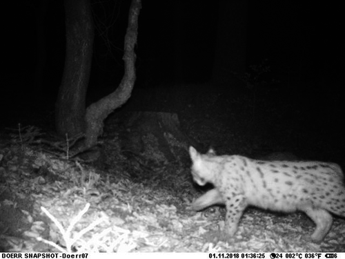 Details are in the caption following the image