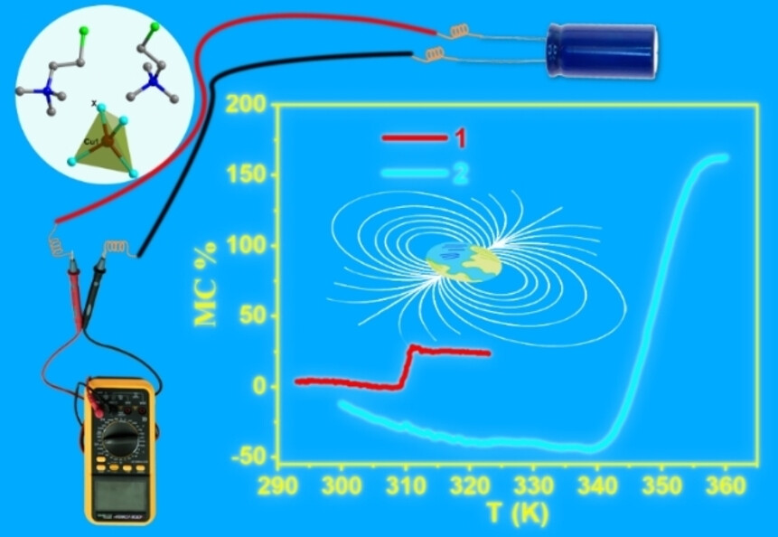 Room-temperature Magnetocapacitance Spanning 97K Hysteresis in Molecular Material