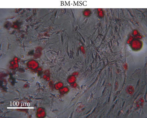 Details are in the caption following the image