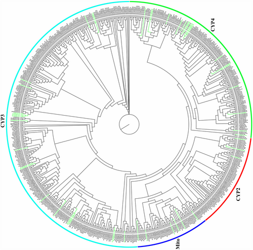 Details are in the caption following the image Details are in the caption following the image