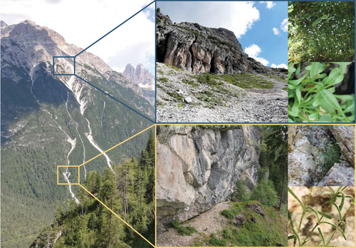Details are in the caption following the image Details are in the caption following the image