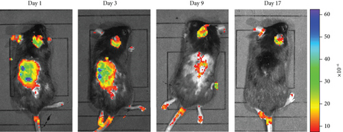 Details are in the caption following the image Details are in the caption following the image