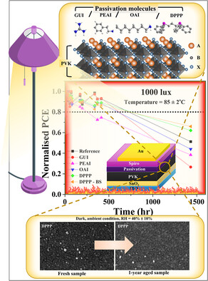 Comparative Study of Different Passivation Layers for n-i-p Perovskite Solar Cell for Indoor Applications