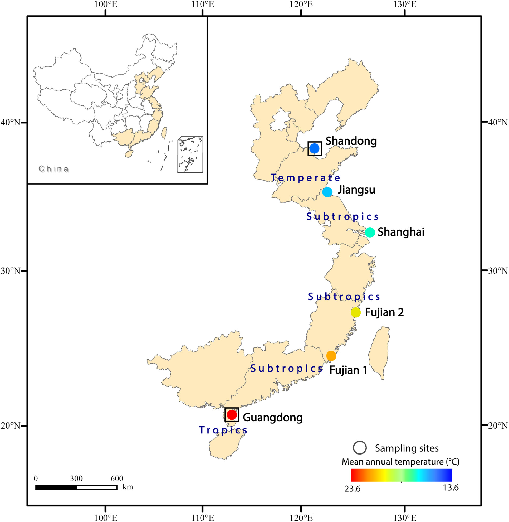 Limited life-history plasticity in marginal population of an invasive foundation species: Unraveling the genetic underpinnings and ecological implications